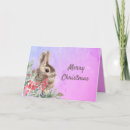 Search for cute rabbit christmas cards Animal