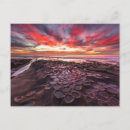 Search for tide pool postcards Seascape