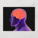 Search for human brain postcards Anatomy