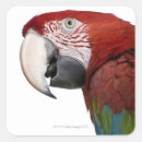 Search for body part stickers Nature