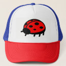 Search for ladybirds hats Nature
