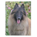 Search for belgian notebooks Puppy
