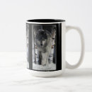 Search for wolf pack mugs Wolf and forest