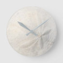 Search for sand dollar clocks Ocean