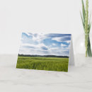Search for grains cards Countryside