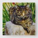 Search for kitteh art Kitten