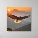 Search for flying eagle canvas prints Sunset