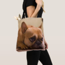 Search for innocent bags Puppy