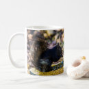 Search for black squirrel mugs Wildlife