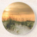Search for coastal coasters Photography