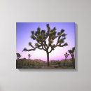 Search for pink sunset canvas prints Sunrise