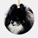 Search for black pomeranian christmas tree decorations Breed