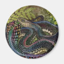 Search for studies magnets Wildlife
