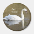 Search for mute magnets Waterfowl