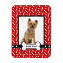 Search for bones magnets Cute