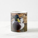 Search for mallard coffee mugs Wild