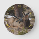 Search for elk clocks Deer