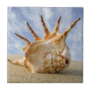 Search for sandy tiles Ocean