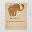 Search for elephant flyers Animal