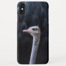 Search for ostrich cases Cute