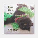 Search for diva magnets School