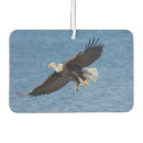 Search for alaska car accessories Digital