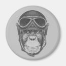 Search for helmets magnets Aviation