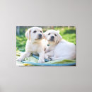 Search for baby canvas prints Photography
