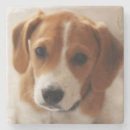 Search for beagle barware Domestic animals