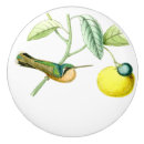 Search for lemon knobs and pulls Garden