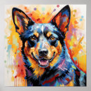 Search for cattledog Dogs