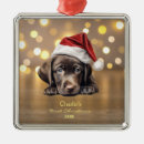 Search for labrador retriever christmas tree decorations Black lab
