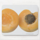 Search for low section mouse mats Indoors