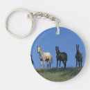 Search for arabs key rings Horse
