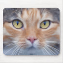 Search for little kitty mouse mats Cute