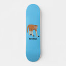 Search for monkey skateboards Primate