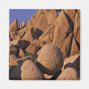 Search for mojave magnets Scenic