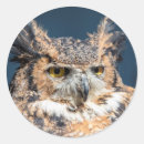 Search for horned owl stickers Raptor