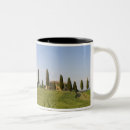 Search for siena mugs Sergio pitamitz