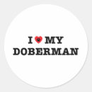 Search for dobermann stickers Pet