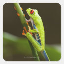 Search for stem stickers Vertical