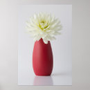 Search for dahlia flower posters Garden