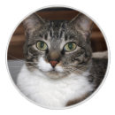 Search for cat knobs and pulls Photography