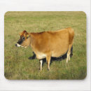 Search for johns mouse mats Countryside