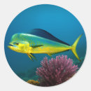 Search for marine fish stickers Coral reef