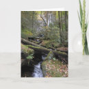 Search for streams cards Waterfalls