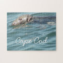 Search for cod photography Cape