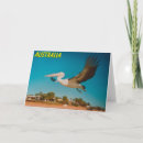 Search for wildlife photography cards Travel
