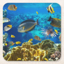 Search for tropical reef coasters Animal