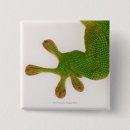 Search for bizarre square badges Animal